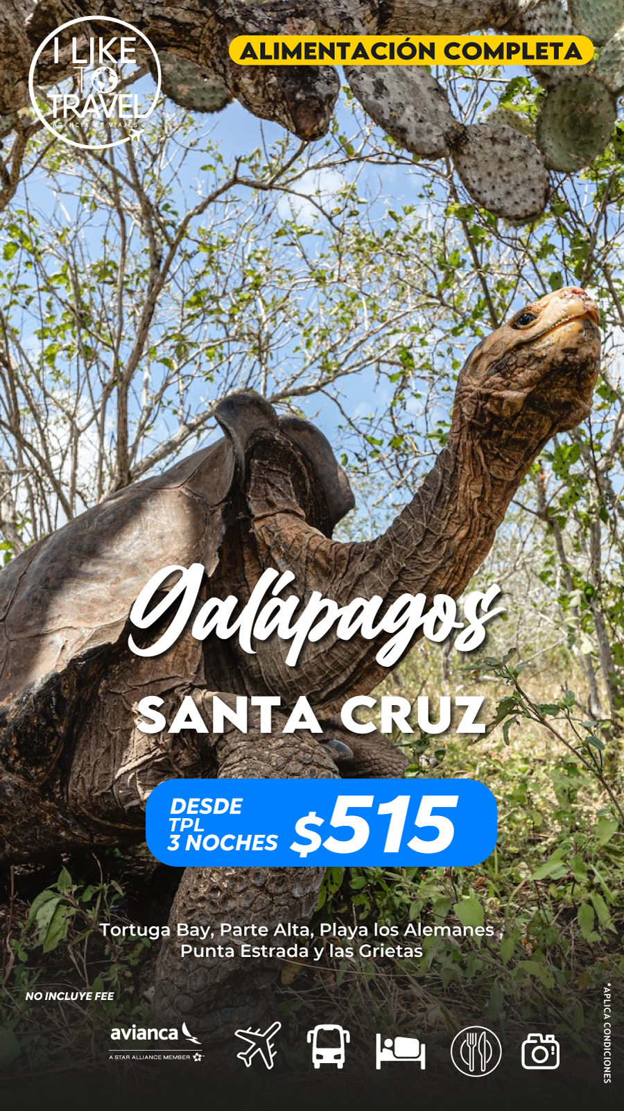 santa-cruz-his santa-cruz-his